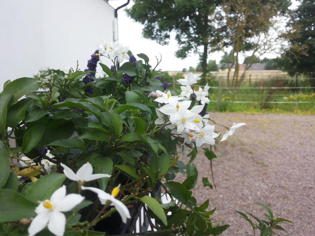 Laegenhet Lillisgarden Guest House Vallakra Exterior photo